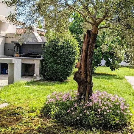 Luxury Apartment Vergina