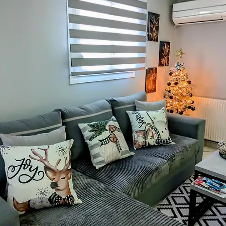 Luxury Apartment
